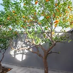 Kalafatis Garden House Itea