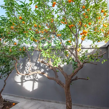 Kalafatis Garden House Itea